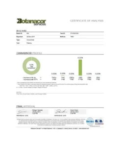 Alternative view of Equilibrium CBD 48mg Full Spectrum Japanese Sencha Tea Bags Box of 12 (BUY 2 GET 1 FREE)