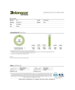 Alternative view of Equilibrium CBD 340mg Tea Japanese Sencha Catering Pack - 100 Biodegradable Pyramid Tea Bags